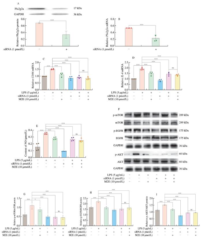 中国生物制药：TQA3038(siRNA)已完成I期临床研究