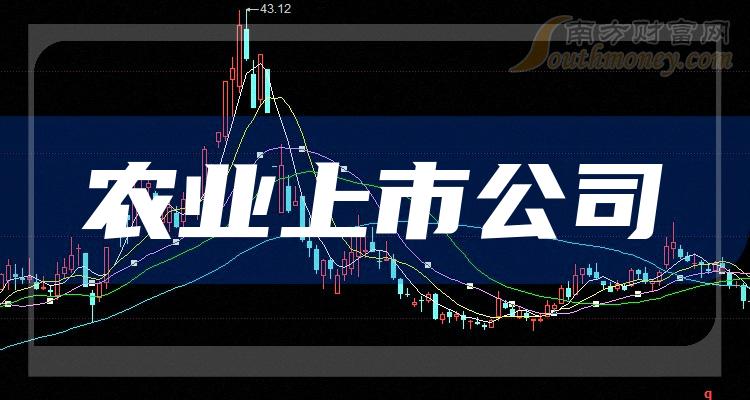 5月16日金正大涨停分析：磷化工，化肥，大农业概念热股