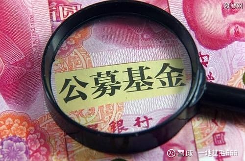 服装股突然爆发！公募抢筹抱团，社保基金也入场