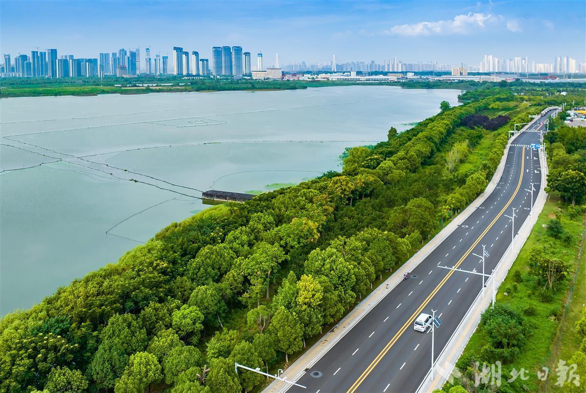 烷醇糖苷行业产业链全景及下游应用结构分析_拥有“如意行”驾乘险，出行更顺畅！,人保有温度