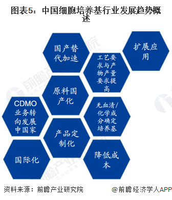 系统软件行业发展分析及未来市场前瞻2024_拥有“如意行”驾乘险，出行更顺畅！,人保财险 