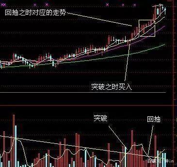 246只股短线走稳 站上五日均线