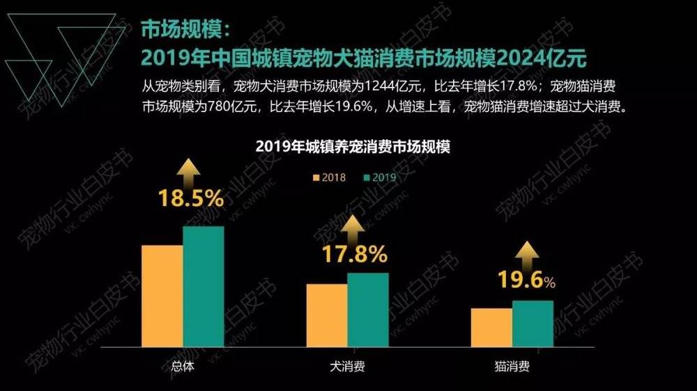 保险有温度,人保财险政银保 _宠物经济行业市场如何?韩国宠物产品销量超过婴儿用品