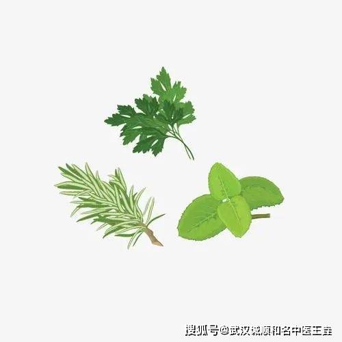 皮肤病药物行业现状及前景趋势研究分析_人保车险,人保财险政银保 