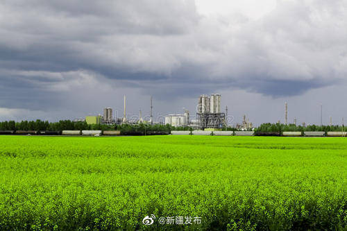 荣膺“国家级绿色工厂”养元六个核桃创新引领植物蛋白饮品市场