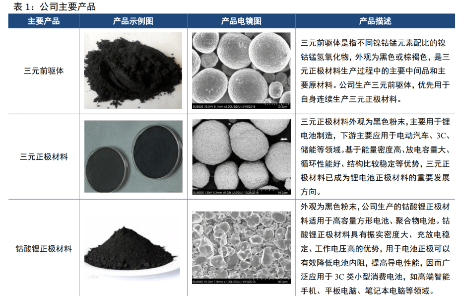 中国科学院上海硅酸盐研究所张涛：固态电池领域氧化物锂离子导体材料已具备产业化宏量生产能力