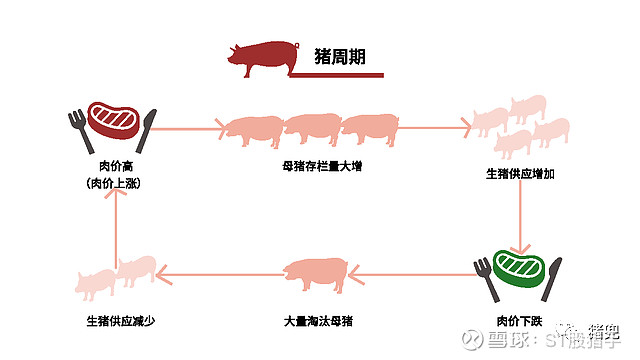 ST三圣录得15天10板