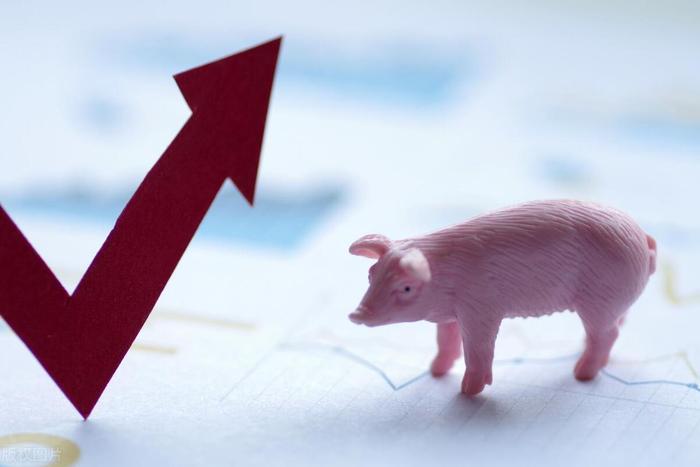 农业农村部：6月24―30日生猪定点屠宰企业生猪平均收购价同比涨21.5%
