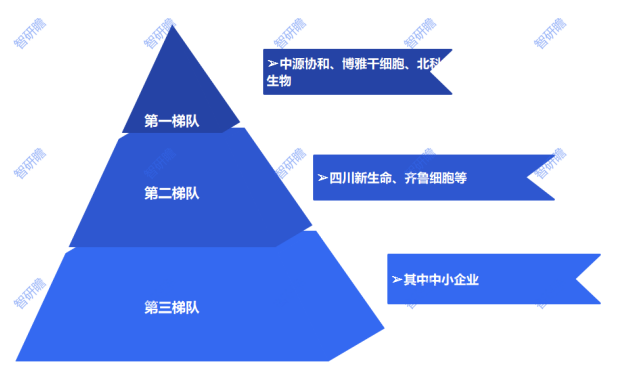 2024国内农药制剂行业发展趋势及市场规模分析研究_人保车险   品牌优势——快速了解燃油汽车车险,拥有“如意行”驾乘险，出行更顺畅！