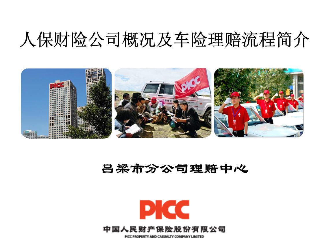 人保车险   品牌优势——快速了解燃油汽车车险,人保财险 _2024年生鲜猪肉行业发展现状、竞争格局及发展趋势与前景分析