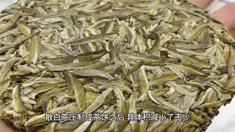 临沧白茶热销马来西亚 白茶产业现状、出口销量及未来发展趋势分析_人保服务 ,人保有温度