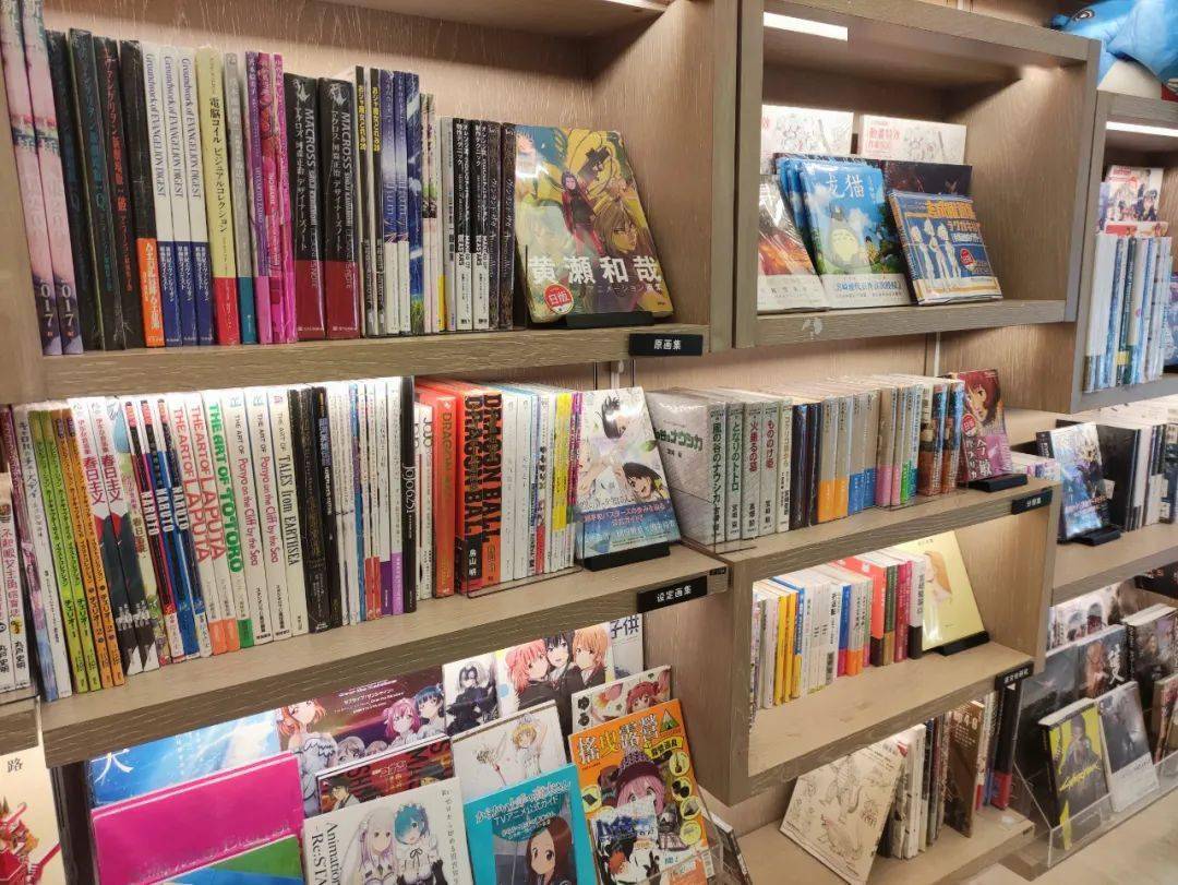 2024中国实体书店行业竞争分析及投资策略规划_人保服务 ,人保财险政银保 