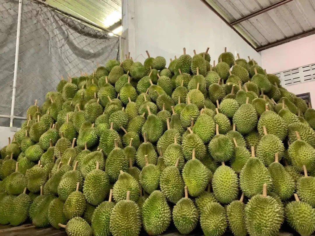 中国水果流通行业深度调研及投资机会分析 未来进口水果市场经济发展趋势_人保有温度,人保护你周全