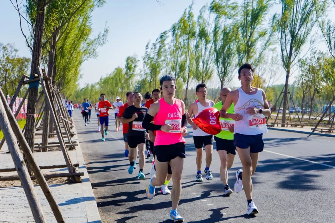 2024年液压工具行业发展现状及未来市场趋势分析_人保服务 ,人保护你周全