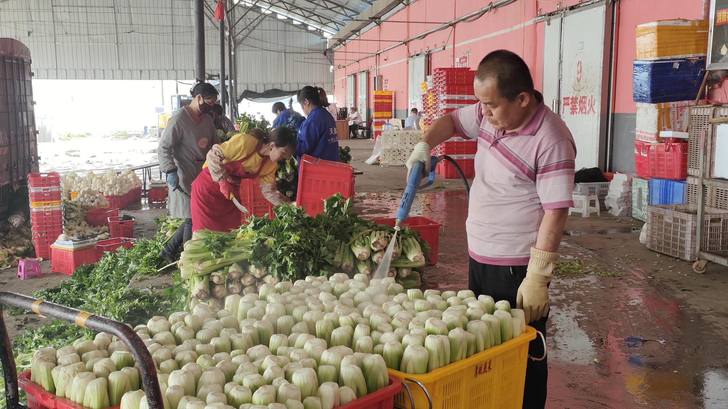 人保车险   品牌优势——快速了解燃油汽车车险,人保服务 _中国蔬菜产业园区发展规划及招商引资咨询 蔬菜价格受多种因素影响而波动的现象
