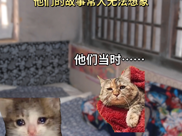 保险有温度,人保护你周全_2024年中国透明质酸钠行业发展趋势及前景预测