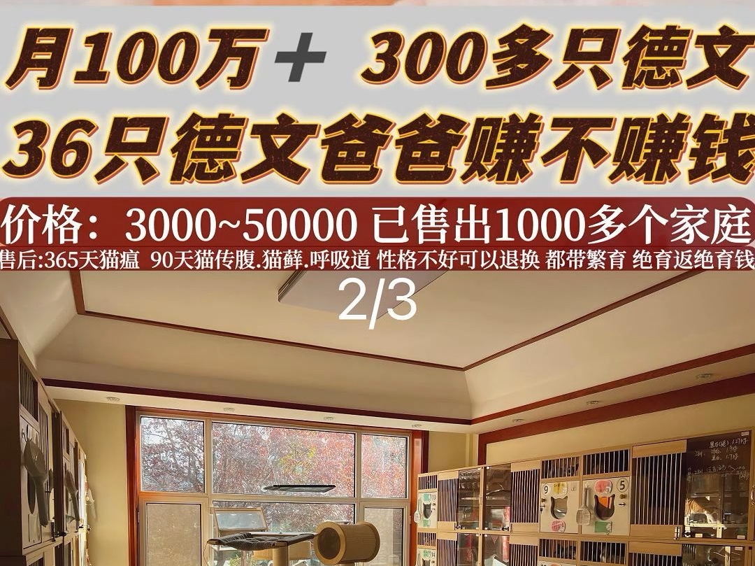 涨破800元！有人已赚36万元，“还不想卖”