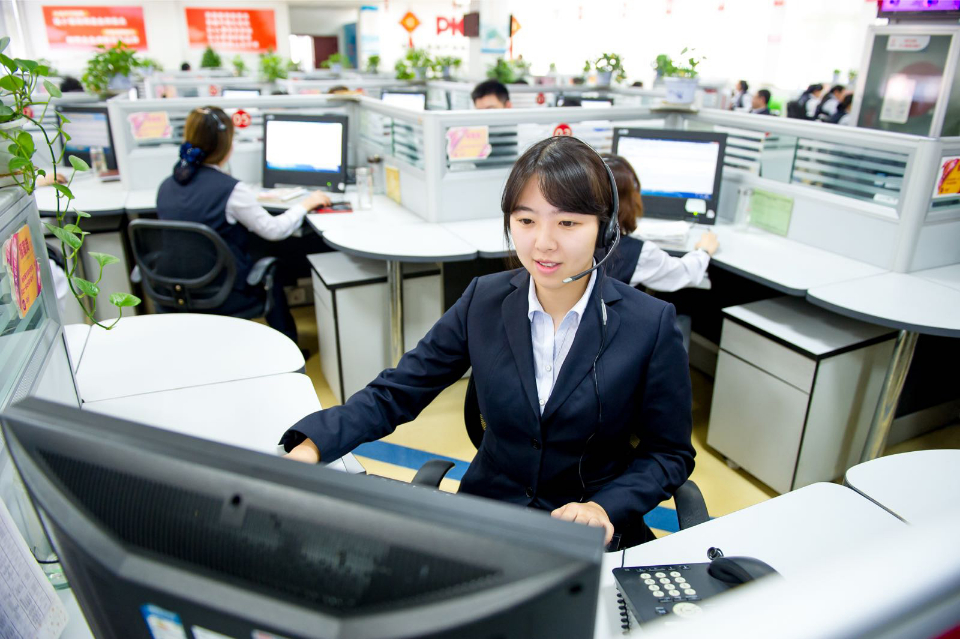 2025年仿生塑料行业发展趋势及产业链结构_人保财险政银保 ,拥有“如意行”驾乘险，出行更顺畅！