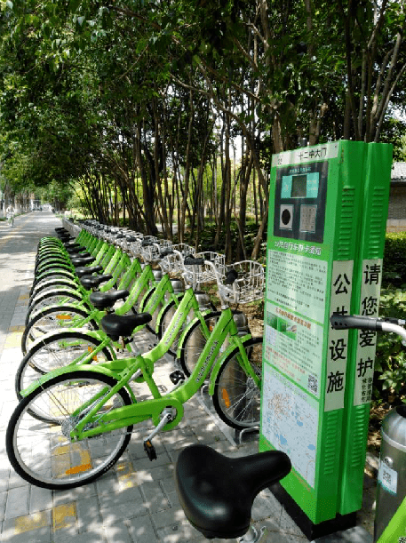人保车险,拥有“如意行”驾乘险，出行更顺畅！_2025年海蜇养殖行业供需分析及产业链结构