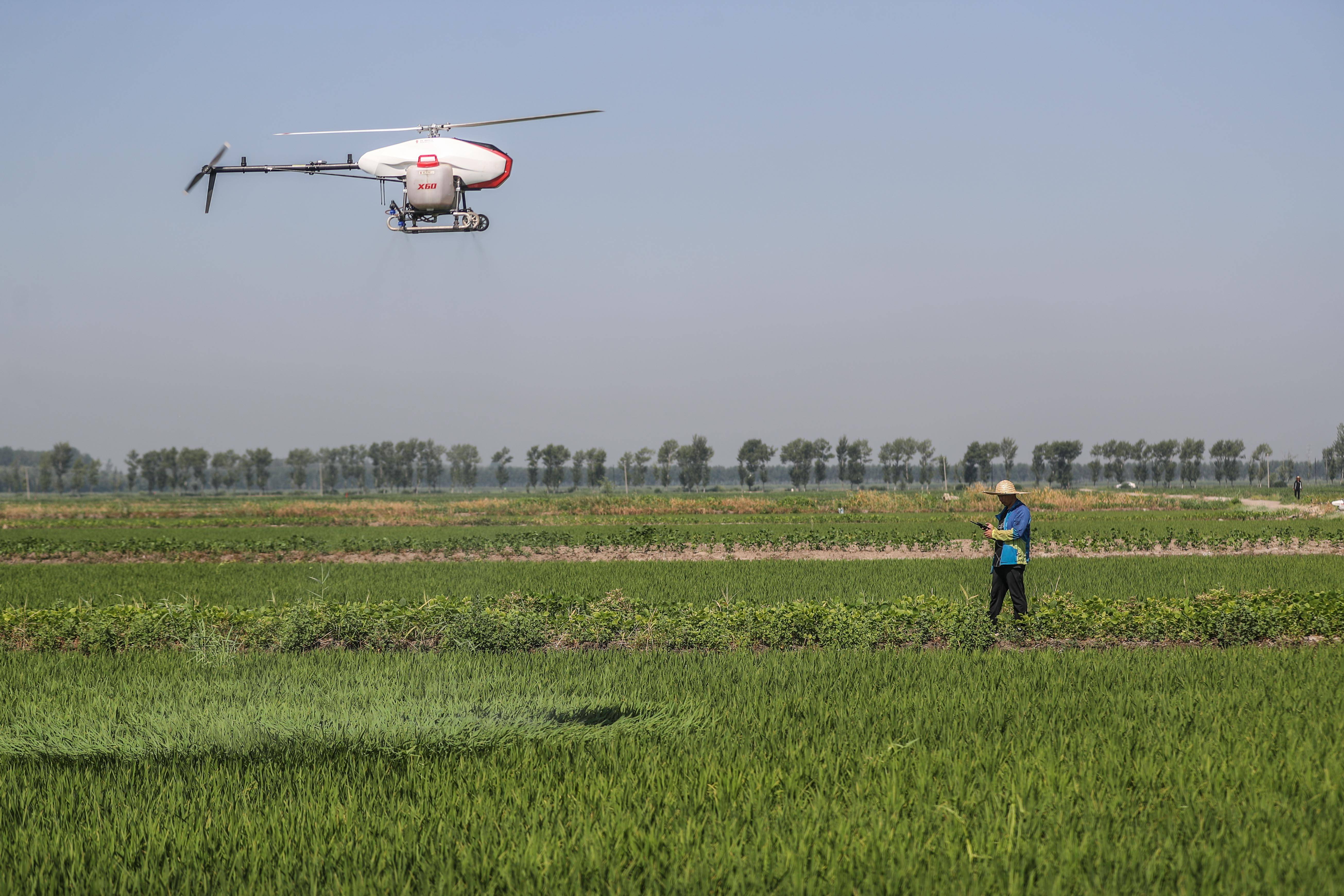 2025年环保农药行业发展趋势预测：环保、高效、智能化_人保服务,人保伴您前行