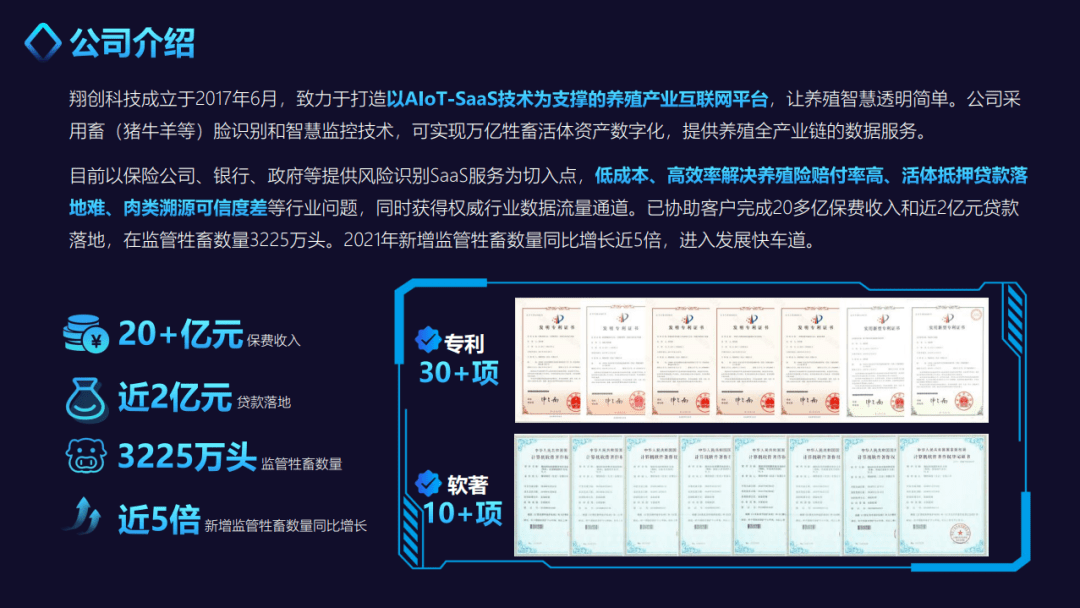 2025数字能源行业深度调研：技术驱动与政策赋能双轮共振_保险有温度,人保有温度