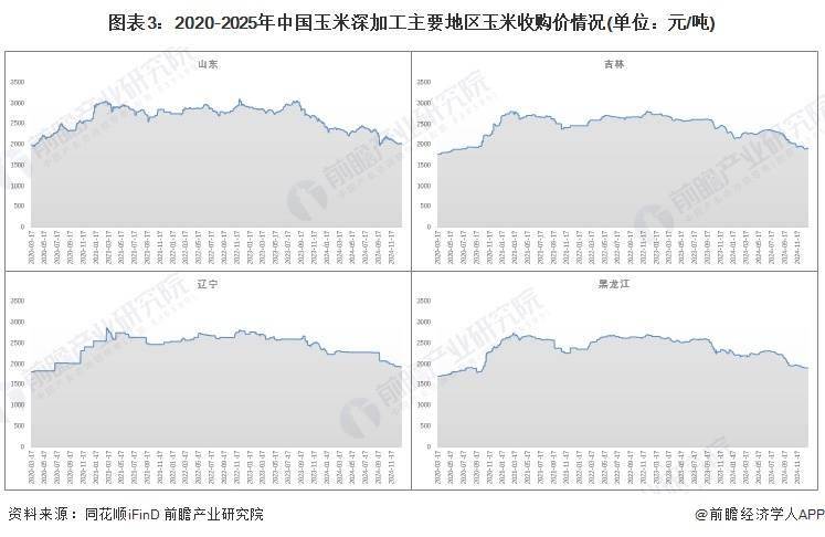 人保伴您前行,人保护你周全_2025玉米淀粉行业市场规模透视分析：数据背后的增长动能