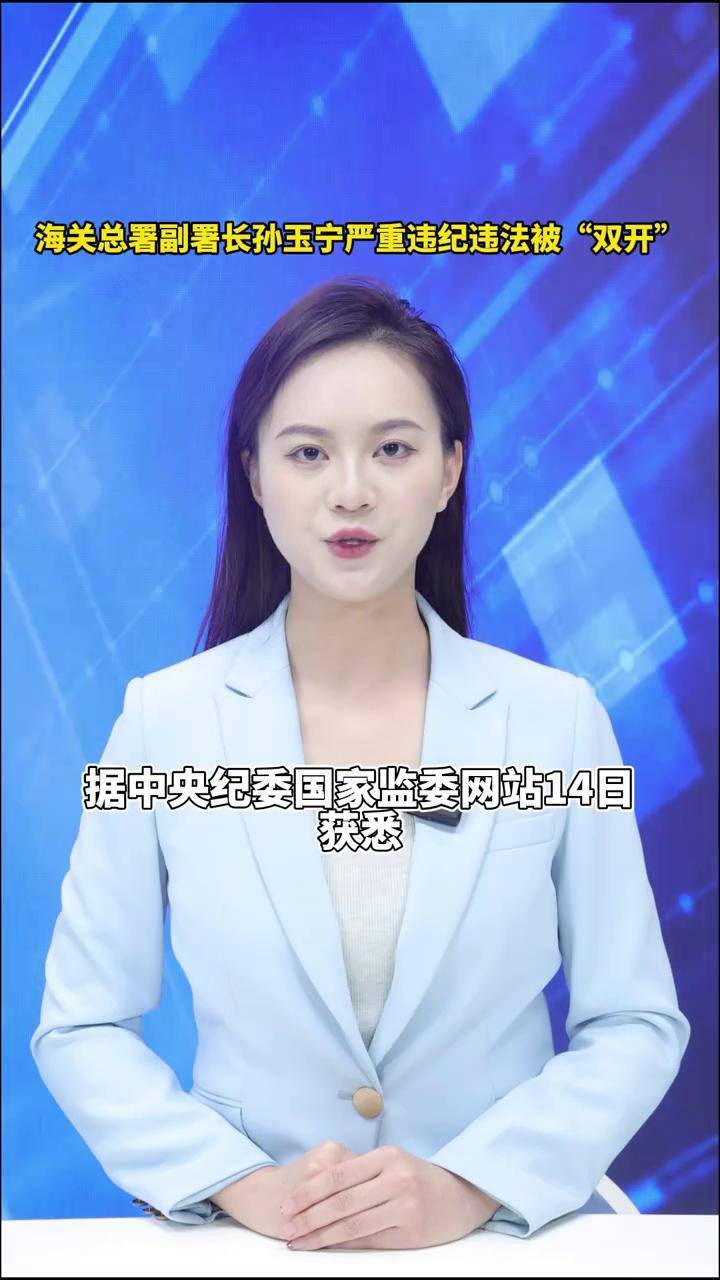 海关总署原副署长孙玉宁被决定逮捕