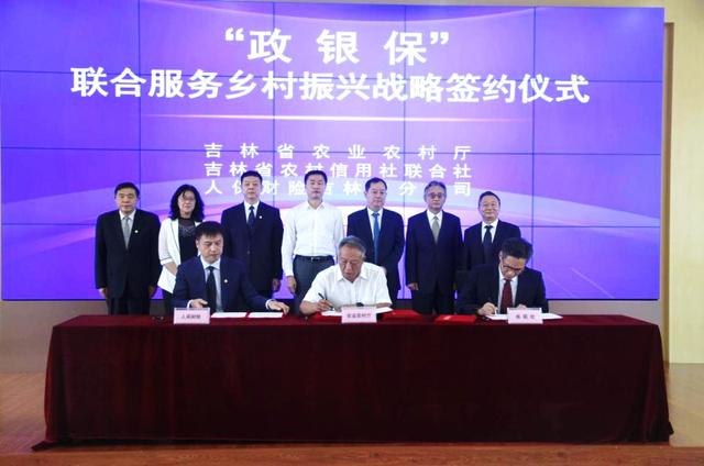 中国壁橱行业市场调查及竞争格局、未来前景分析2025_人保车险,人保财险政银保 