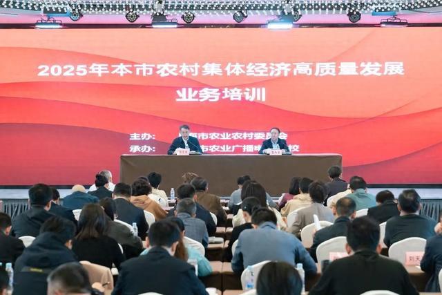 保险有温度,人保财险政银保 _2025年糖精行业投资潜力研究：总量平稳、结构升级