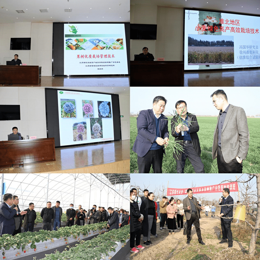 2025年超声治疗仪器行业现状与发展趋势分析_人保财险政银保 ,人保有温度