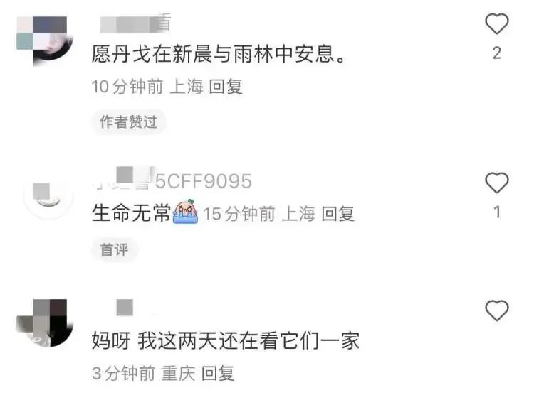 突发讣告!赵殿礼逝世