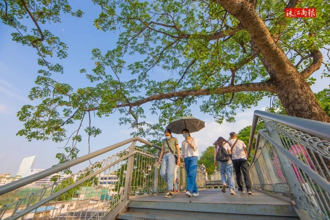 “五一”假期浙江水上旅游持续火爆 累计发客超60万人次