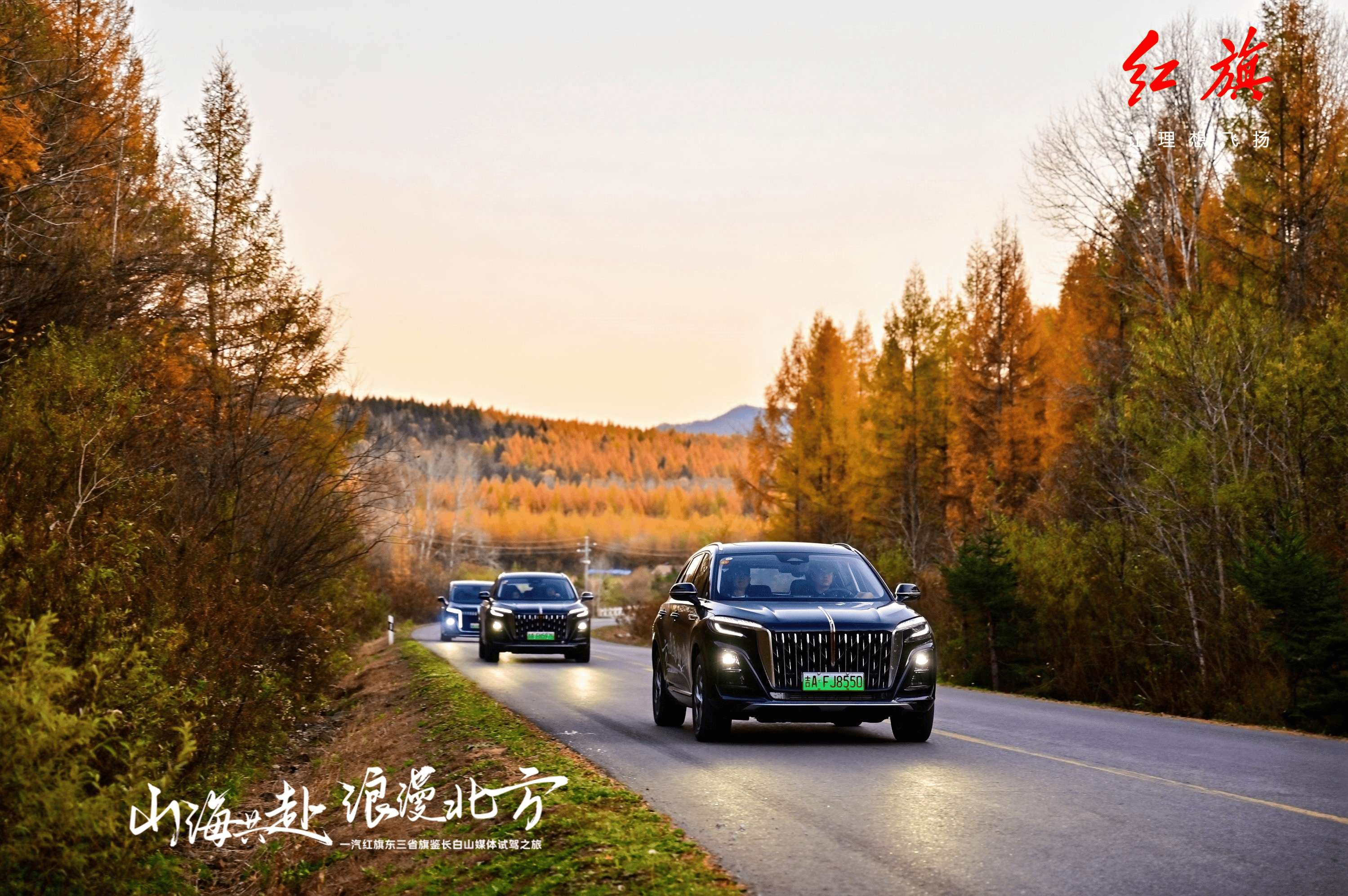 人保财险政银保 ,拥有“如意行”驾乘险，出行更顺畅！_2025年传统手工技艺文化遗产行业现状与发展趋势分析