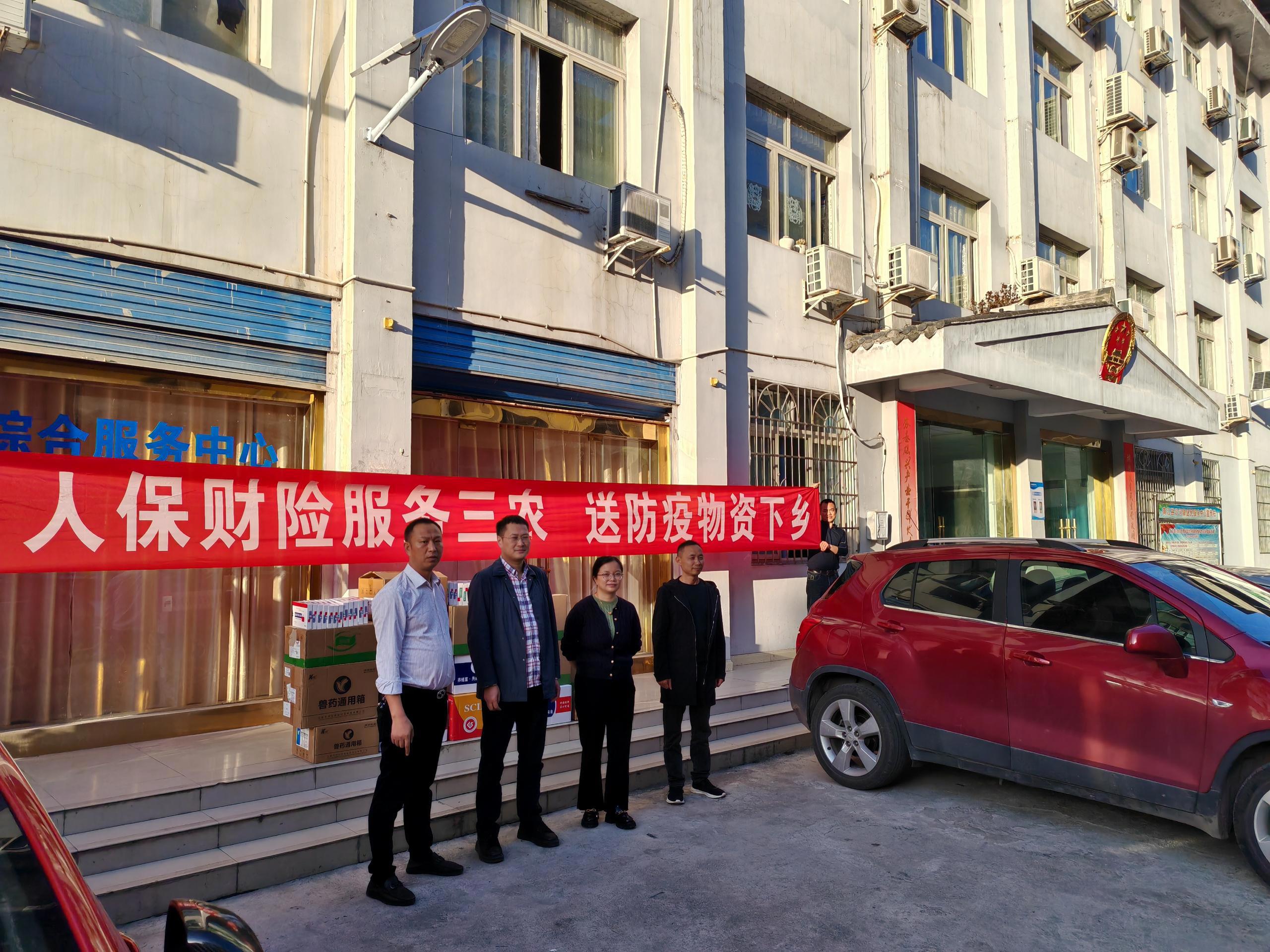 2025-2030中国在线视频广告市场投资价值分析_人保服务,人保财险 