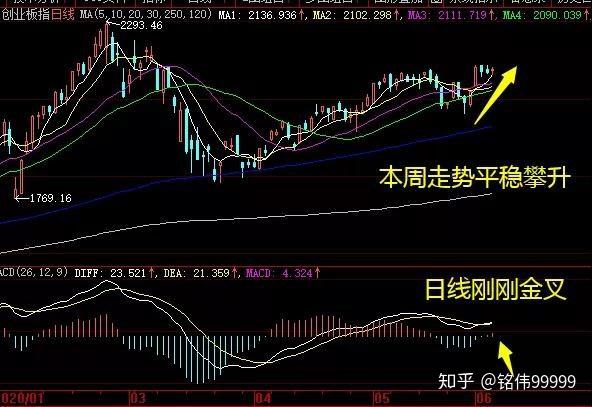 5月22日浪莎股份涨停：纺织服装，地摊经济概念热股