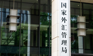 银河证券：当前头部宠企进入自有品牌快速扩张期
