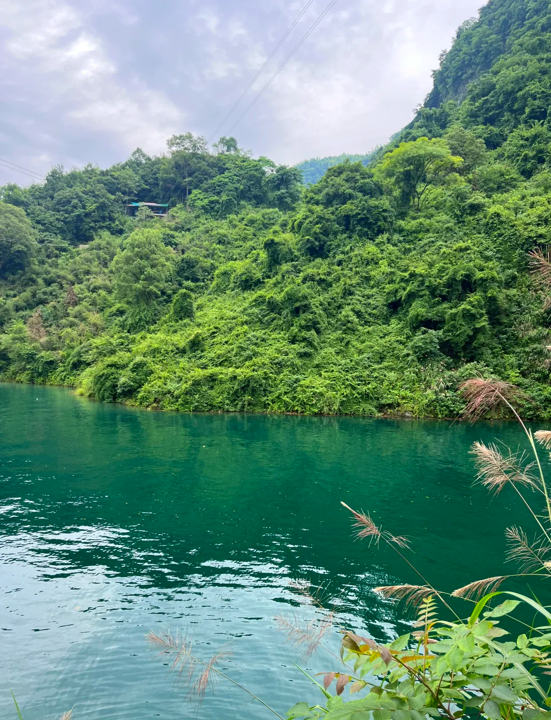端午假期短途自驾游热度升温，这一时段将迎出行高峰