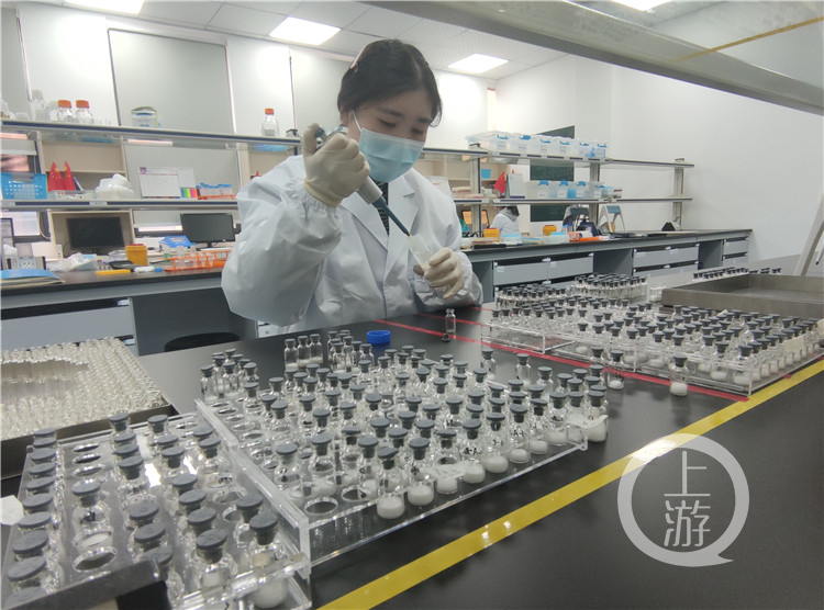 2025年中国微生物蛋白行业：从实验室到餐桌_拥有“如意行”驾乘险，出行更顺畅！,人保有温度
