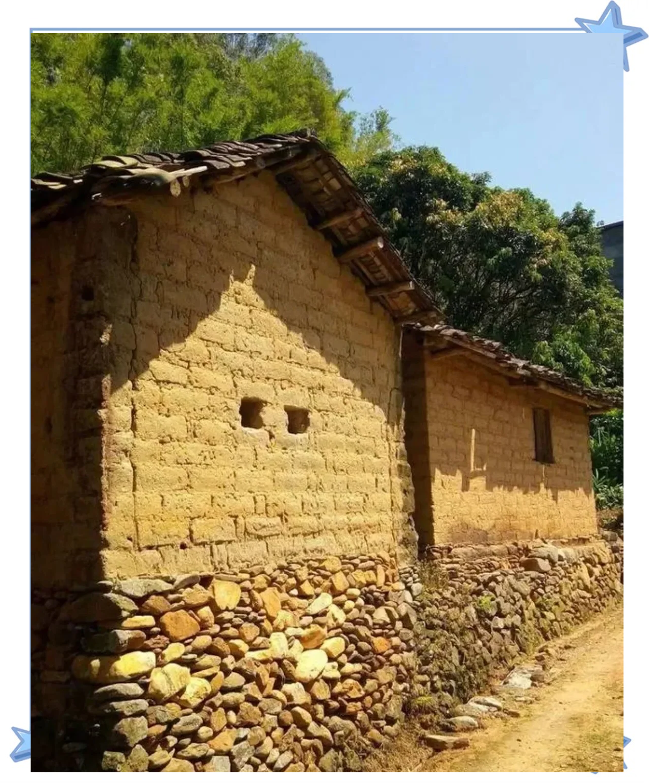 “指尖上”的中国绿色革命