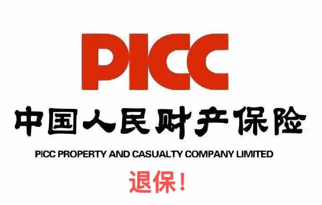 保险有温度,人保财险政银保 _2025年纯电动汽车市场：驶向未来的黄金赛道