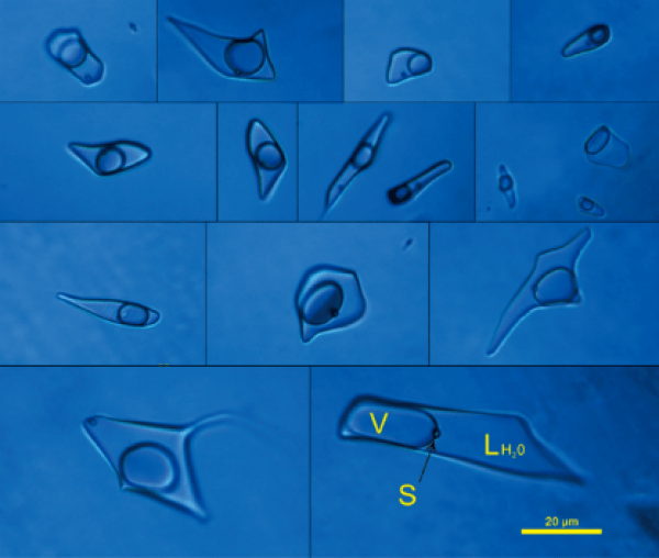 中国石化获得发明专利授权：“储层含油气分析方法、装置、存储介质及电子设备”