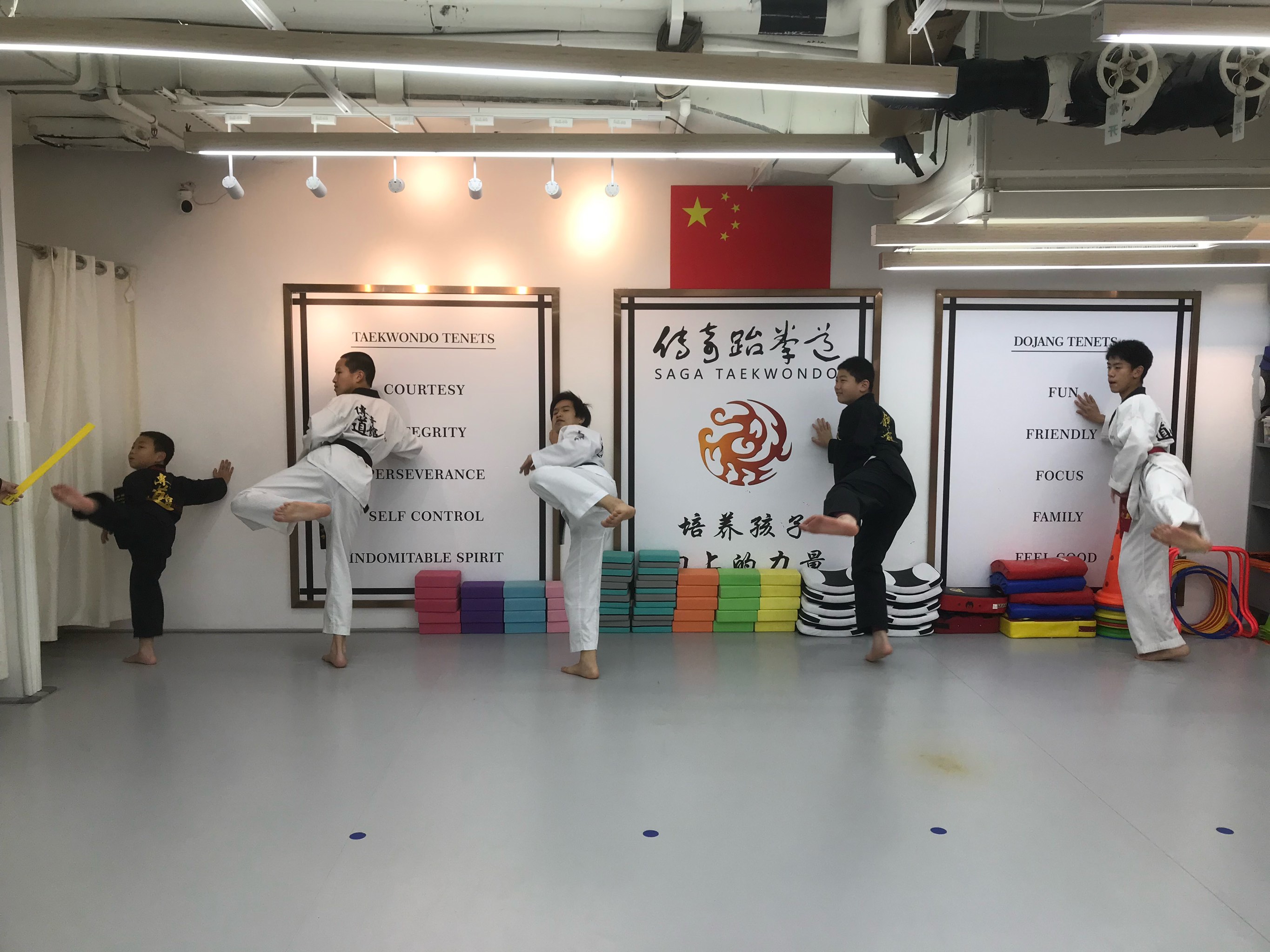 人保服务 ,人保车险_2025年中国跆拳道培训行业：现状剖析与挑战应对
