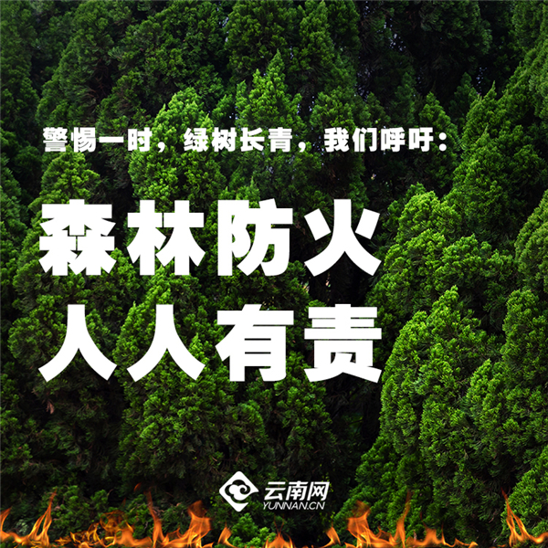 人保财险政银保 ,人保车险_2025年石膏基防火涂料行业：绿色防火材料的市场机遇与挑战