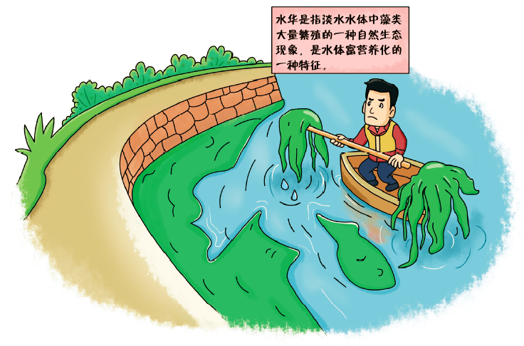 科普丨方还是圆 文化环境影响“所见”