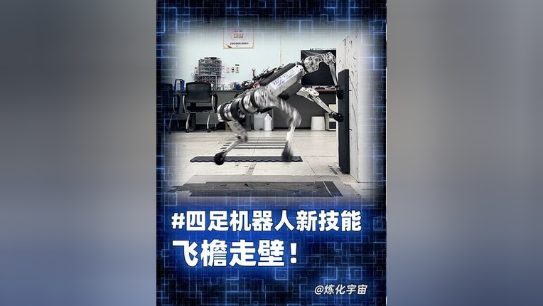 这项“飞檐走壁”运动升温！很多小学生在练，有场馆称排课要等三个月