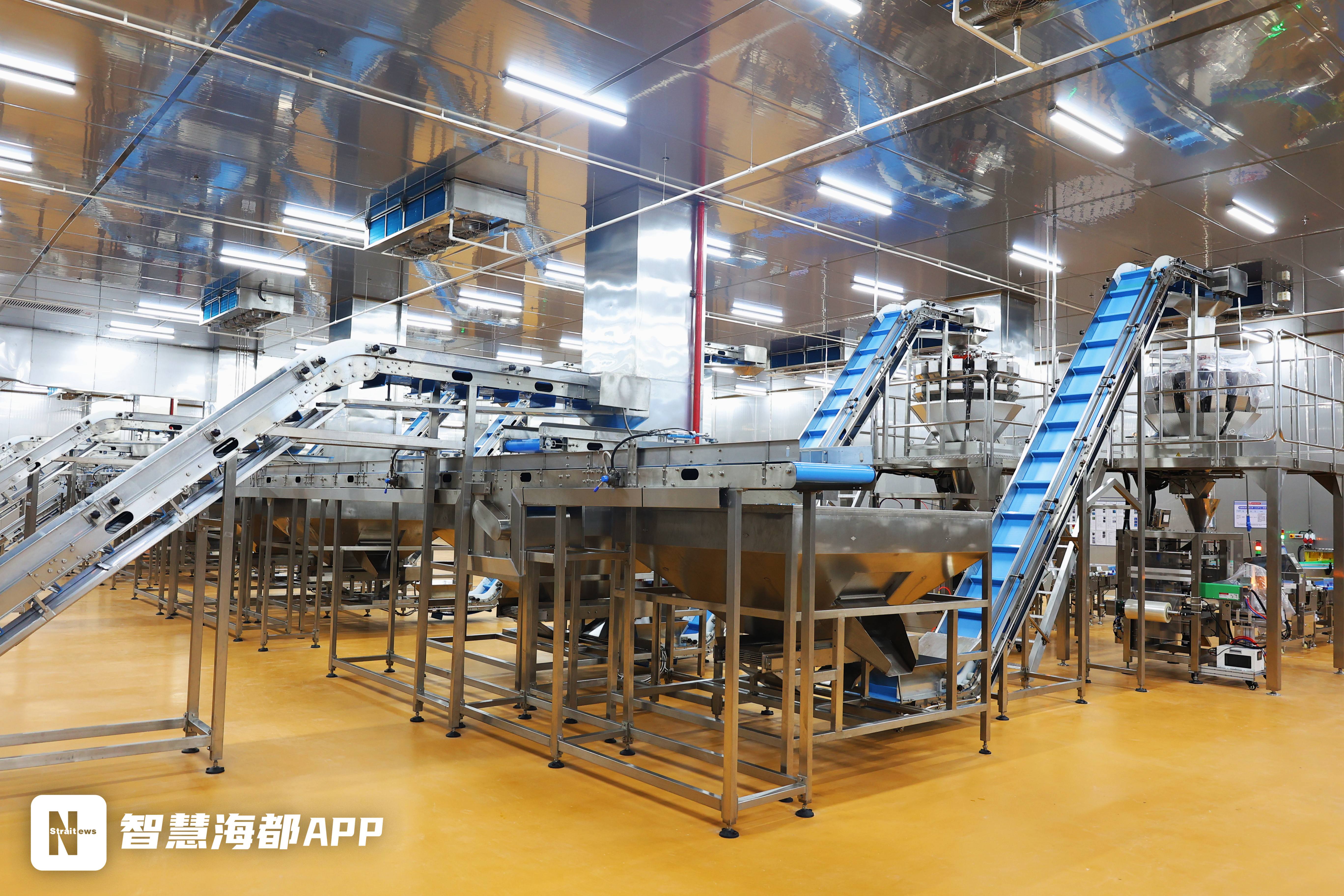 海欣食品获得发明专利授权：“一种水产品浮冰输送线”