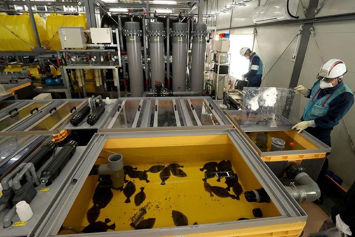 富春环保：公司目前暂无核污染检测产品