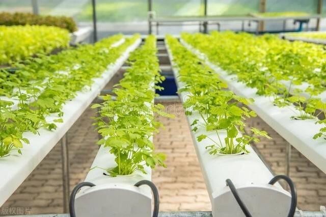 明年底，农业生产信息化率有望提升至30%以上——智慧农场，科技拓展想象
