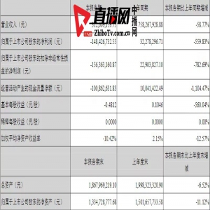 深南电A：上半年预计亏损2100万元―2700万元