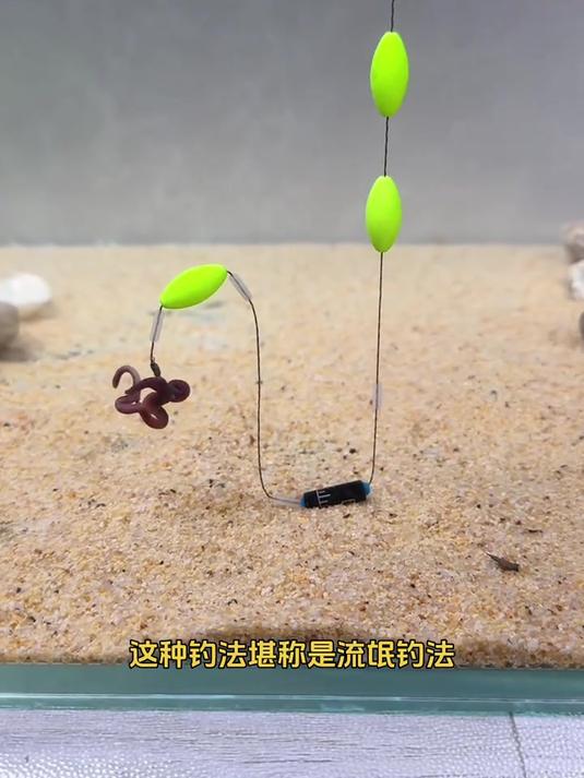 新研究：鱼类悬停在水中其实很“费劲”